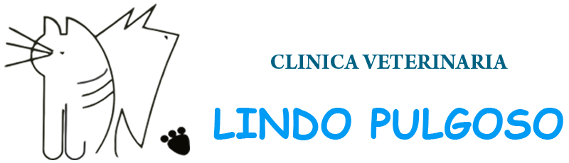 Clínica veterinaria Lindo Pulgoso