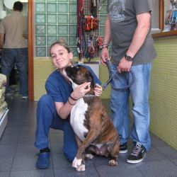 Campañas veterinarias preventivas