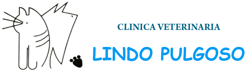 CLINICA VETERINARIA LINDO PULGOSO